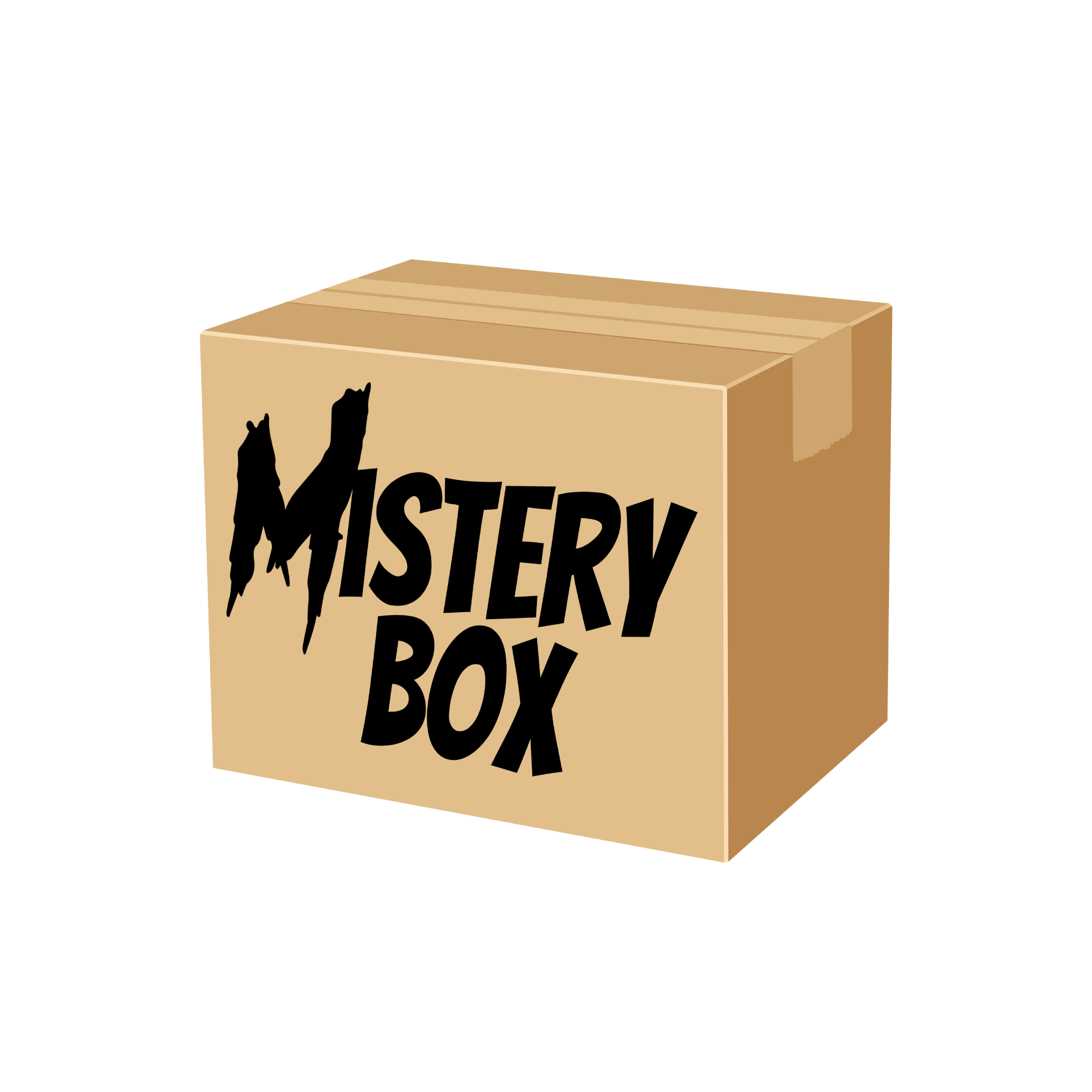 MISTERY BOX - BLACK MISTERY BOX - BLACK