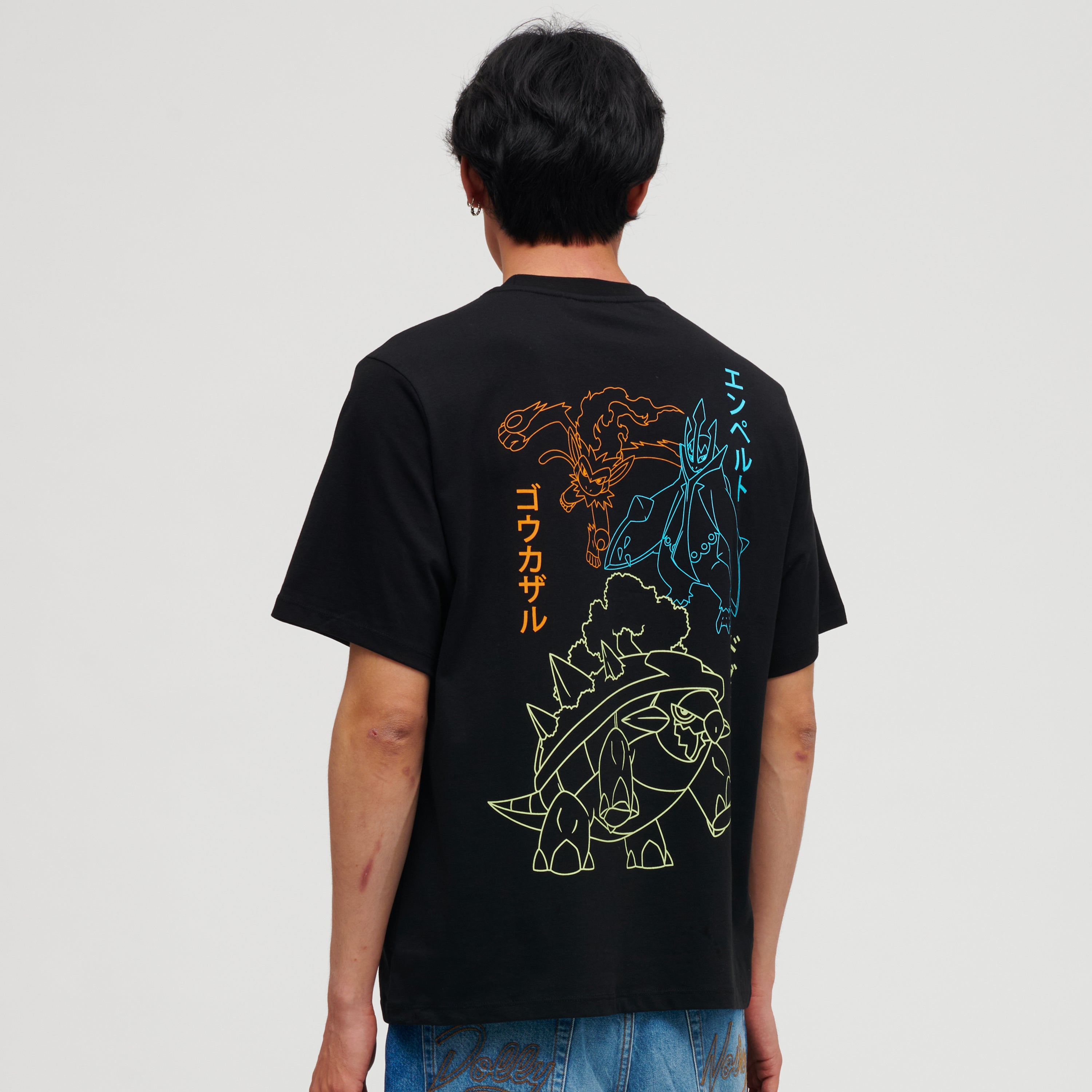 DOLLY POKEMON - TEE STARTERS EVOLUTION