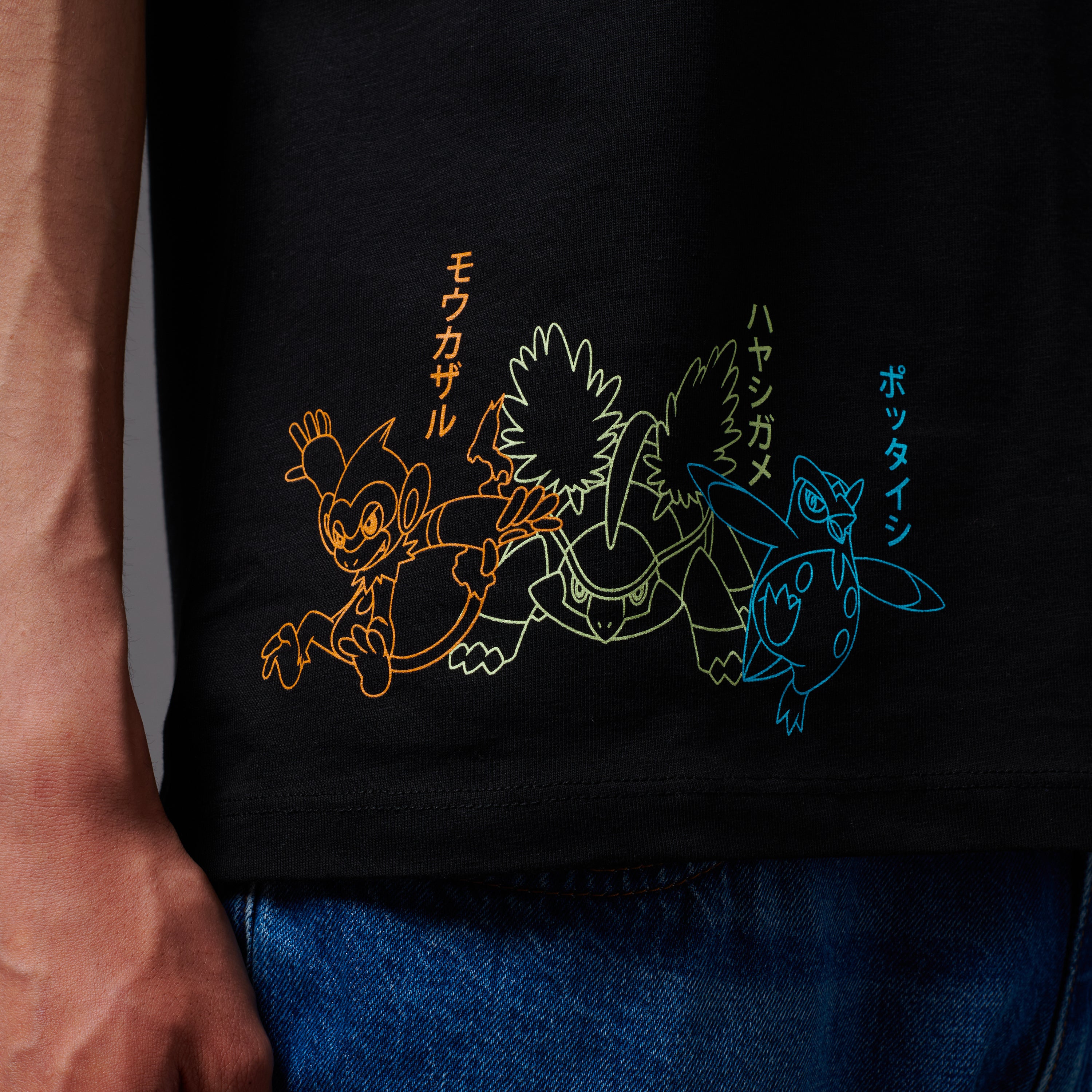 DOLLY POKEMON - TEE STARTERS EVOLUTION